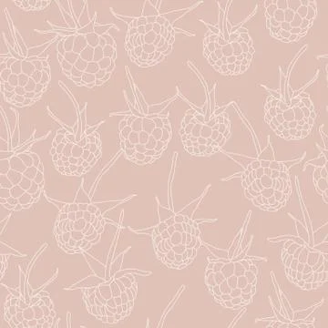 Seamless pattern with raspberry white on rose	 Stock Illustration