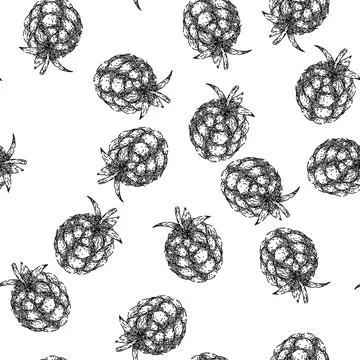 Seamless pattern raw blackberry sketch hand drawn Illustrazione stock