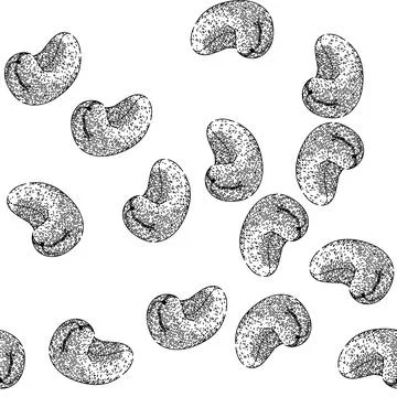 Seamless pattern raw cashew nut sketch hand drawn Stock Illustration