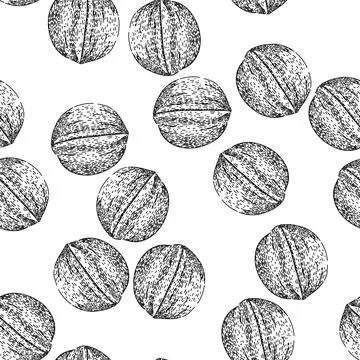 Seamless pattern raw walnut sketch hand drawn 스톡 일러스트