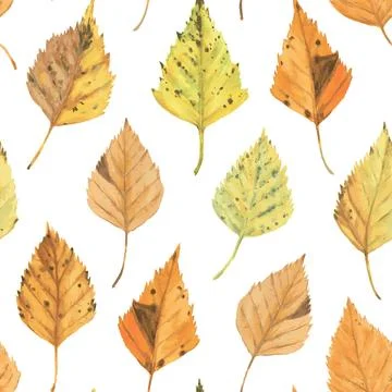 Seamless pattern with realistic birch dry yellow leaves. Watercolor autumn Illustration