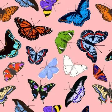 Seamless pattern of realistic butterflies. vector illustration Stock Illustration