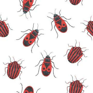Seamless pattern with realistic cute red solider bugs. Stock Illustration