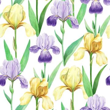 Seamless pattern with realistic detailed iris flowers in vintage retro style for Illustrazione stock