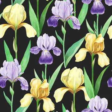 Seamless pattern with realistic detailed iris flowers in vintage retro style for Stock Illustration