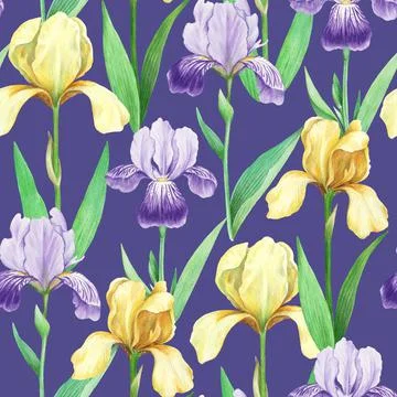Seamless pattern with realistic detailed iris flowers in vintage retro style for Stock Illustration