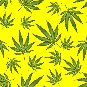 Seamless pattern with realistic leaves of hemp, marijuana, hashish on yellow Stock Illustration