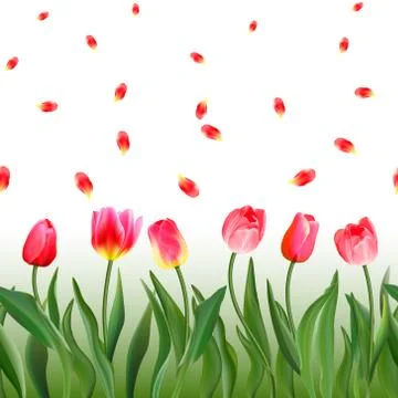 Seamless pattern with realistic pink tulips flowers and petals. Vector イラスト素材