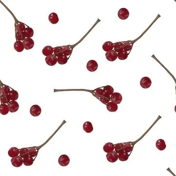 A seamless pattern with realistic red berries on branches Stock Illustration