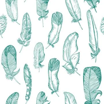 Seamless pattern Realistic sketch of bird Feather on isolated background. Det Stock Illustration