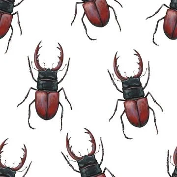 Seamless pattern with realistic stag beetles, lucanus cervus. Stock Illustration