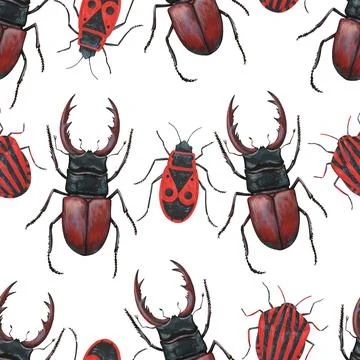 Seamless pattern with realistic stag beetles, lucanus cervus and red bugs Illustrazione stock