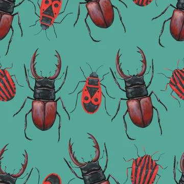Seamless pattern with realistic stag beetles, lucanus cervus and red bugs Stock Illustration