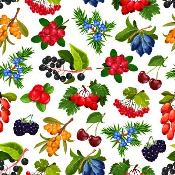 Seamless pattern realistic summer berries isolated 스톡 일러스트