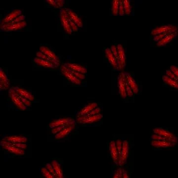 Seamless Pattern with Red and Black Bow on Black Background. Stock Illustration