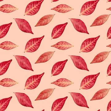 Seamless pattern: red autumn leaves Foto stock