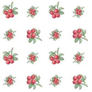Seamless pattern with red berries and green leaves on a white background. Stock Illustration