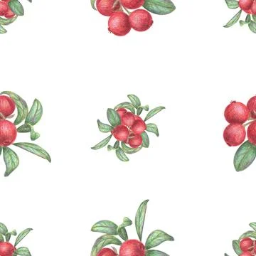 Seamless pattern with red berries and green leaves on a white background. Stock Illustration