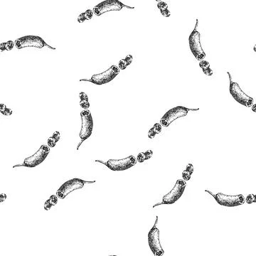 Seamless pattern red chili pepper sketch hand drawn イラスト素材