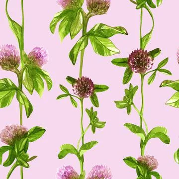 Seamless pattern red clover green leaves watercolor Stock Illustration