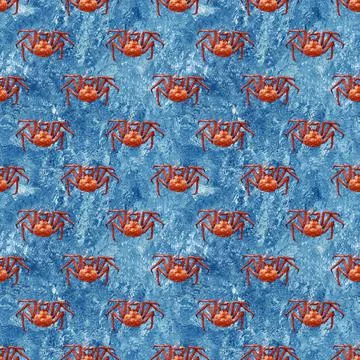 Seamless pattern of red crabs against the water Stock Photos