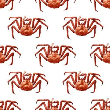Seamless pattern of red crabs isolated against white background Stock Photos