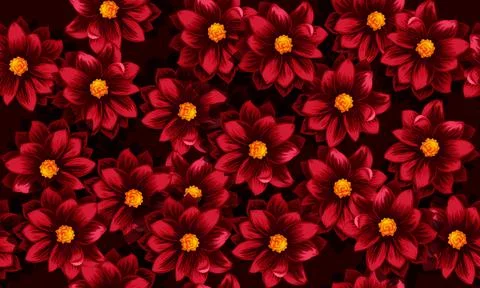 Seamless pattern of red dahlia flowers on dark background. Stock Illustration