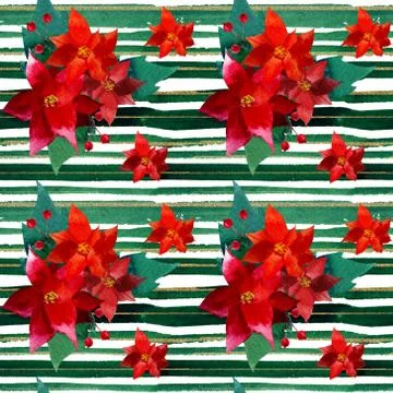 Seamless pattern with red flowers Christmas poinsentias with green and gold Stock Illustration