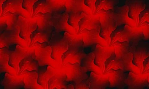 Seamless Pattern of Red Flowers floral bloom 스톡 일러스트