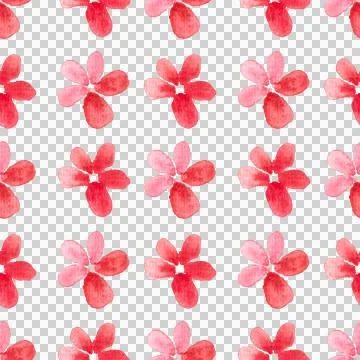 Seamless pattern of red flowers, hand drawn watercolor on white background Illustrazione stock