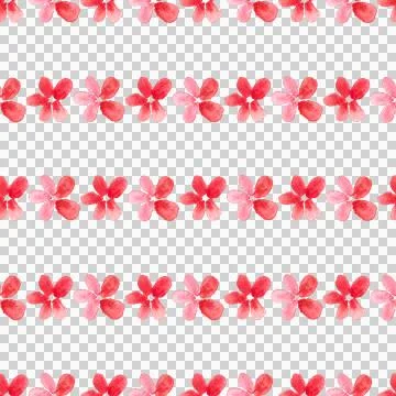 Seamless pattern of red flowers, hand drawn watercolor on white background 스톡 일러스트