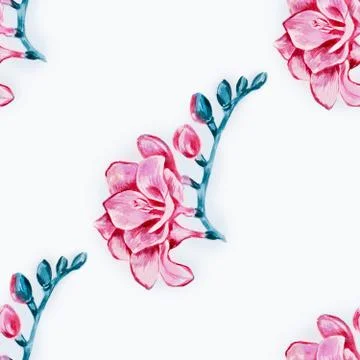 Seamless pattern of red freesia on a white background. Stock Illustration