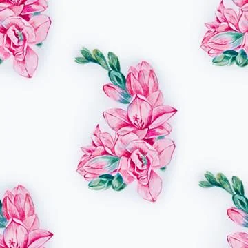 Seamless pattern of red freesia on a white background. Stock Illustration