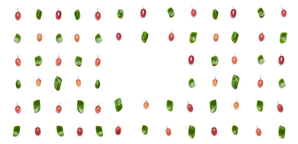 Seamless Pattern of Red Grape Fruit and Small Green Leave. Фото