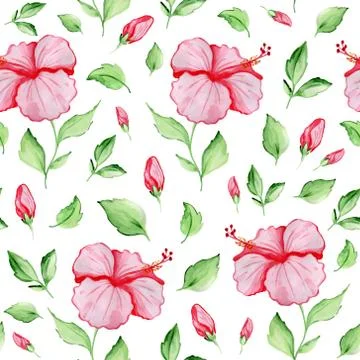 Seamless pattern with red hibiscus flowers Stock-Illustration