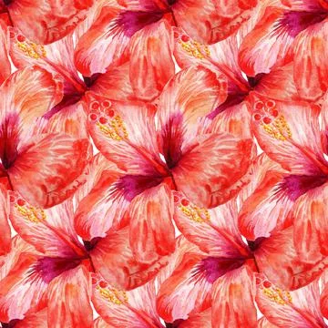Seamless pattern with red hibiscus Stock Illustration