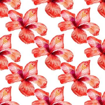 Seamless pattern with red hibiscus Stock Illustration
