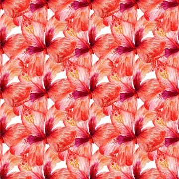 Seamless pattern with red hibiscus Stock Illustration
