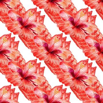 Seamless pattern with red hibiscus Stock Illustration