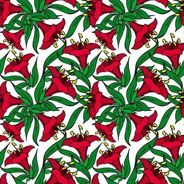 Seamless pattern of red large exotic flowers with a black outline on a whit.. Illustrazione stock