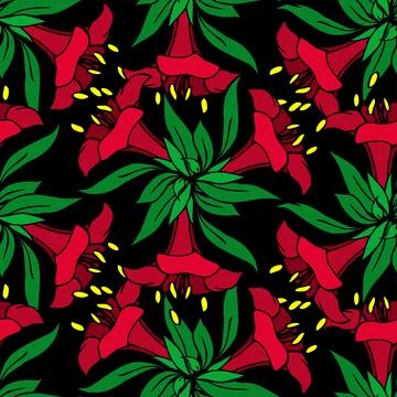 Seamless pattern of red large exotic flowers with a black outline on a blac.. Stock Illustration