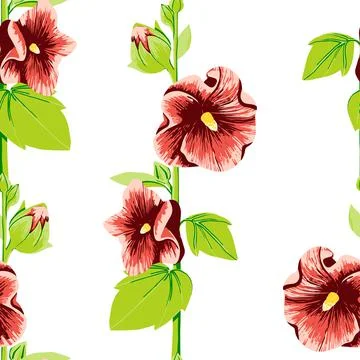 Seamless pattern of red mallow flowers Stock Illustration