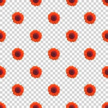 Seamless Pattern of Red Orange Sunflowers Isolated on Transparent Background Stock Photos