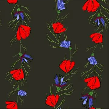 Seamless pattern of red poppies and cornflowers. Illustration on black backgr Stock Illustration