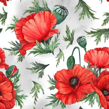 Seamless pattern with red poppies and green leaves on a white with gray Stock Illustration