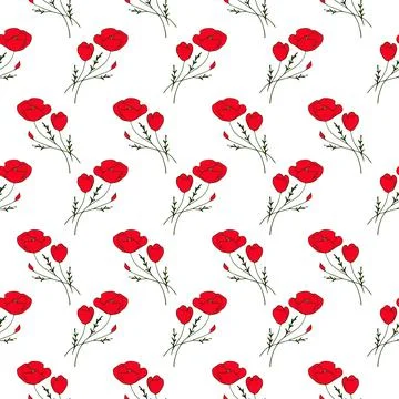 Seamless pattern red poppies on white background Stock Illustration