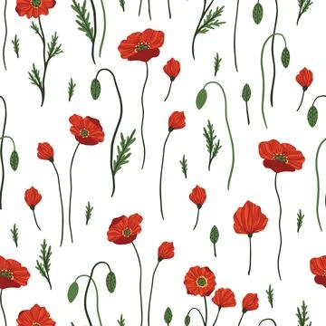 Seamless pattern with red poppy flowers and buds on white. Stock Illustration