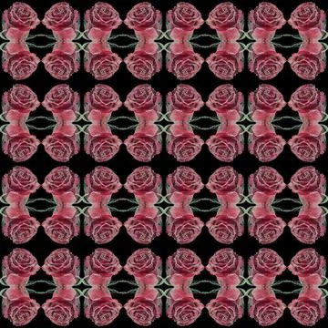 Seamless pattern of red rose flowers covered with air bubbles, against a blac Фото