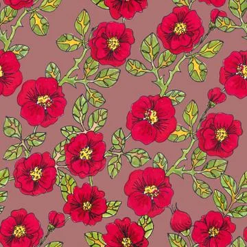 Seamless pattern of red rose hips flowers on a brown background. Graphic draw Stock Illustration