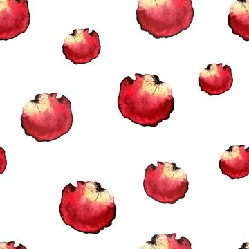 Seamless pattern of red rose petals of different sizes on a white background Stock Illustration